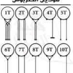 عقال ملكي 2 امام